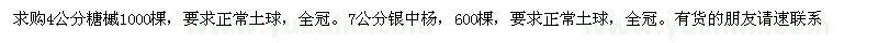 求購糖槭、銀中楊