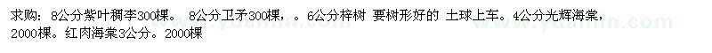 求購8公分紫葉稠李、8公分衛(wèi)矛、6公分梓樹