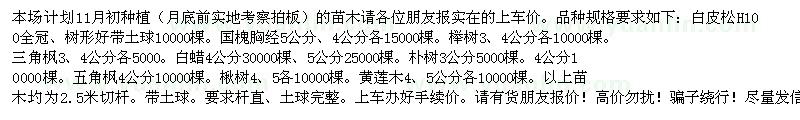 求購白皮松H100全冠、樹形好帶土球10000棵