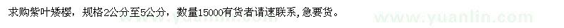 求購紫葉矮櫻 