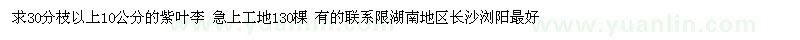 求購30分枝以上10公分的紫葉李