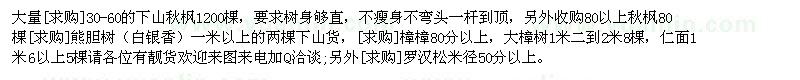 求購(gòu)大量30-60的下山秋楓 熊膽樹(shù) 樟樟