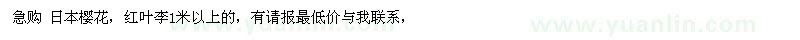 求購日本櫻花，紅葉李1米以上的
