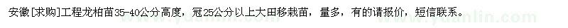 求購安徽工程龍柏苗35-40公分高度