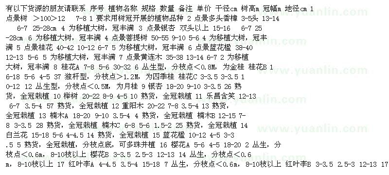 求購香樟 銀杏樹 菩提樹 桂花 藍花楹 黃連木 櫸樹 樂昌含笑 重