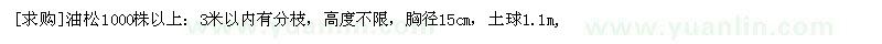 求購(gòu)油松1000株以上：3米以內(nèi)有分枝