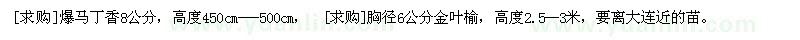 求購(gòu)爆馬丁香8公分 胸徑6公分金葉榆