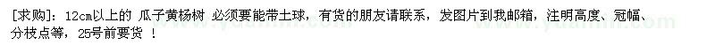 求購(gòu)12cm以上的 瓜子黃楊樹