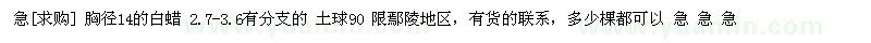 求購(gòu)胸徑14的白蠟 2.7-3.6有分支的