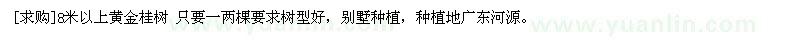 求購8米以上黃金桂樹