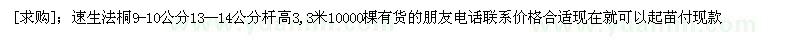求購速生法桐9-10公分13--14公分桿高3,3米