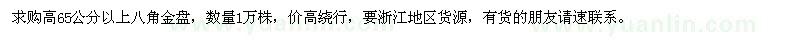 求購高65公分以上的八角金盤