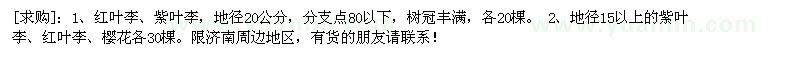 求購(gòu)紅葉李、紫葉李、 櫻花