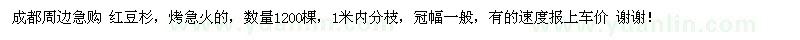求購成都周邊 紅豆杉，烤急火的，數(shù)量1200棵