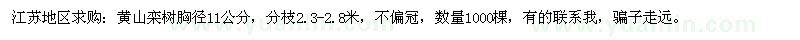 求購江蘇地區(qū)：黃山欒樹胸徑11公分，分枝2.3-2.8米