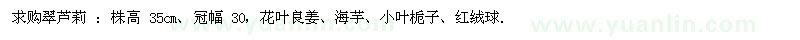 求購翠蘆莉、花葉良姜、海芋、小葉梔子、紅絨球