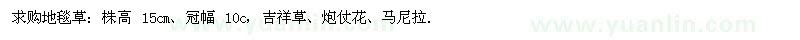 求購地毯草、吉祥草、炮仗花、馬尼拉