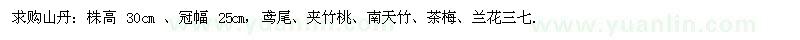 求購山丹、鳶尾、夾竹桃、南天竹、茶梅、蘭花三七