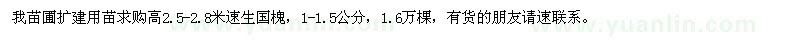 求購高2.5-2.8米速生國槐