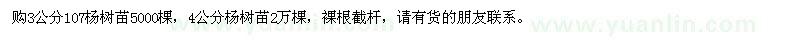 求購3公分、4公分107楊樹苗