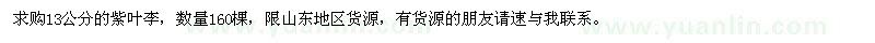 求購(gòu)紫葉李