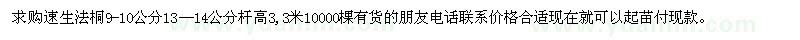 求購速生法桐9-10公分13—14公分桿