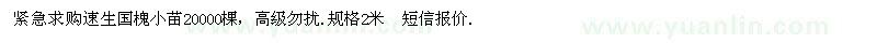 求購(gòu)速生國(guó)槐小苗