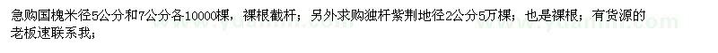 求購(gòu)國(guó)槐米徑5公分和7公分 獨(dú)桿紫荊