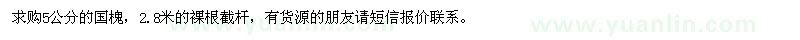 求購5公分的國槐