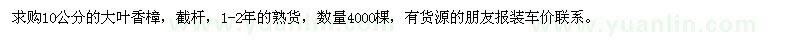 求購10公分的大葉香樟