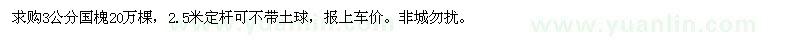 求購3公分國槐