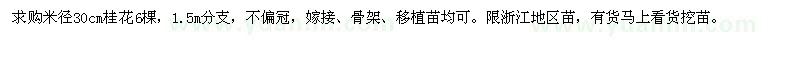 求購30cm桂花
