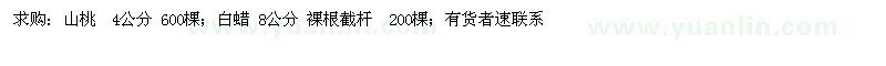 求購山桃  4公分 600棵