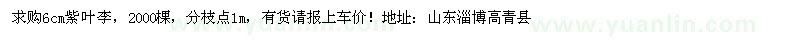 求購紫葉李