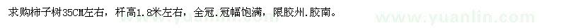求購柿子樹35CM左右 