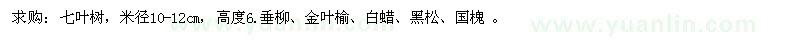 求購七葉樹、垂柳、金葉榆、白蠟、黑松、國槐 