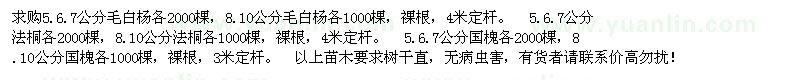 求購5--10公分毛白楊、國槐、法桐