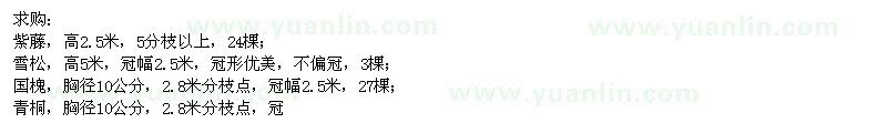 求購(gòu)紫藤,雪松,國(guó)槐,青桐,法桐