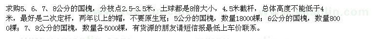 求購5、6、7、8公分的國槐