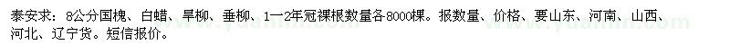 求購8公分國槐、白蠟、旱柳、垂柳