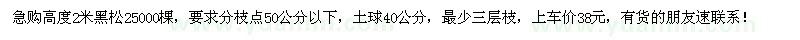 求購高2米黑松25000棵
