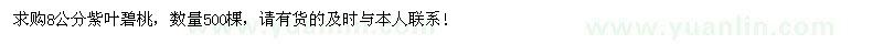 求購(gòu)8公分紫葉碧桃500棵
