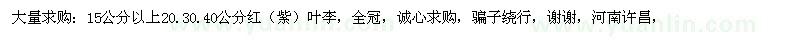 求購大量：15公分以上20.30.40公分紅（紫）葉李，全冠