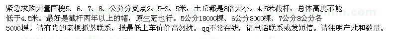求購國槐