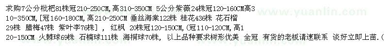求購7公分枇杷81株冠210-250CM