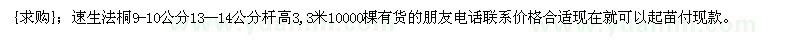 求購速生法桐9-10公分13--14公分