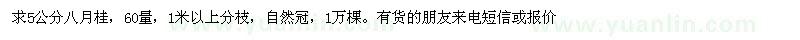 求購5公分八月桂，60量，1米以上分枝