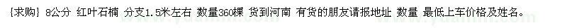 求購 8公分 紅葉石楠 分支1.5米左右