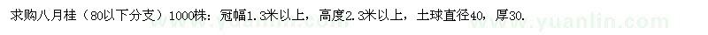 求購八月桂