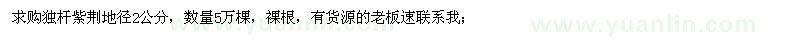 求購獨(dú)桿紫荊地徑2公分